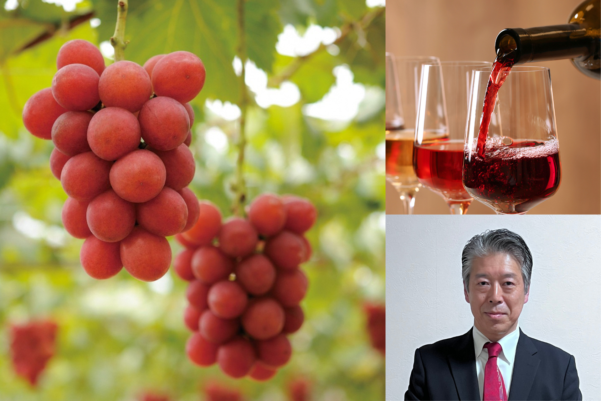 ルビーロマンとワインのペアリングセミナ～石川が誇る”赤い宝石”を味わう美食ランチ～表示